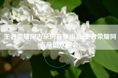 王者荣耀阿古朵的最强出装(王者荣耀阿古朵的欢迎会)
