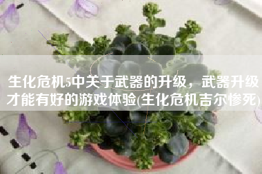 生化危机5中关于武器的升级，武器升级才能有好的游戏体验(生化危机吉尔惨死)