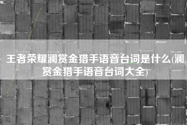 王者荣耀澜赏金猎手语音台词是什么(澜赏金猎手语音台词大全)