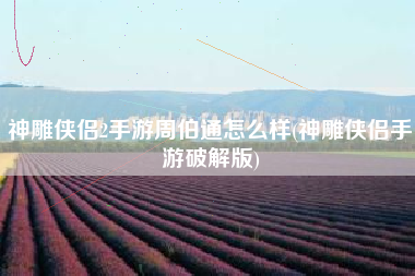 神雕侠侣2手游周伯通怎么样(神雕侠侣手游破解版)