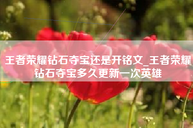 王者荣耀钻石夺宝还是开铭文_王者荣耀钻石夺宝多久更新一次英雄