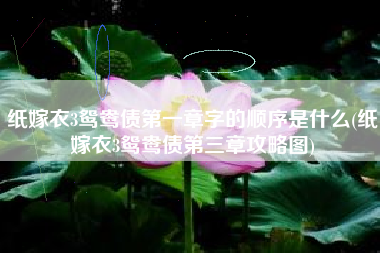 纸嫁衣3鸳鸯债第一章字的顺序是什么(纸嫁衣3鸳鸯债第三章攻略图)