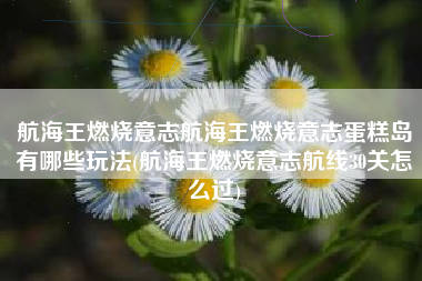 航海王燃烧意志航海王燃烧意志蛋糕岛有哪些玩法(航海王燃烧意志航线30关怎么过)