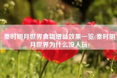 秦时明月世界食物增益效果一览(秦时明月世界为什么没人玩)