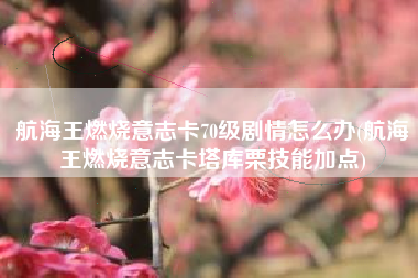 航海王燃烧意志卡70级剧情怎么办(航海王燃烧意志卡塔库栗技能加点)