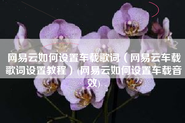 网易云如何设置车载歌词（网易云车载歌词设置教程）(网易云如何设置车载音效)