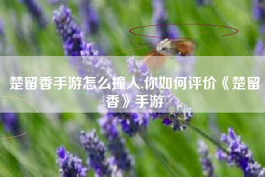 楚留香手游怎么撞人,你如何评价《楚留香》手游