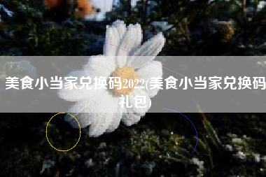 美食小当家兑换码2022(美食小当家兑换码礼包)