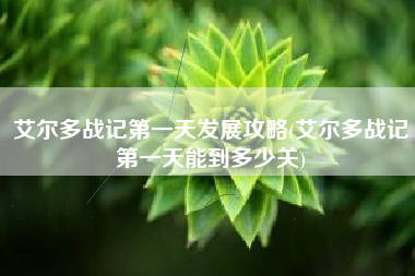 艾尔多战记第一天发展攻略(艾尔多战记第一天能到多少关)