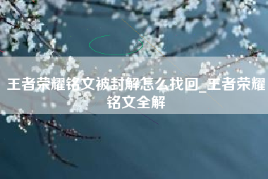 王者荣耀铭文被封解怎么找回_王者荣耀铭文全解