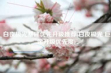 白夜极光基建优先升级推荐(白夜极光 巨像升级优先度)