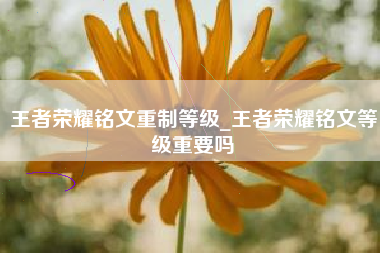 王者荣耀铭文重制等级_王者荣耀铭文等级重要吗