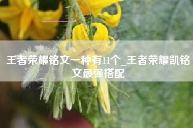 王者荣耀铭文一种有11个_王者荣耀凯铭文最强搭配