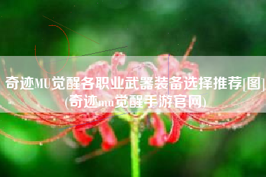 奇迹MU觉醒各职业武器装备选择推荐[图](奇迹mu觉醒手游官网)