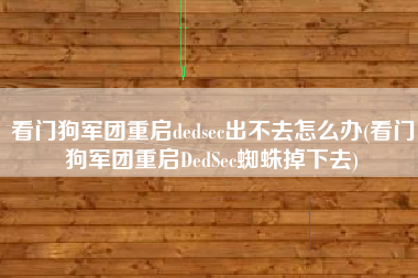 看门狗军团重启dedsec出不去怎么办(看门狗军团重启DedSec蜘蛛掉下去)