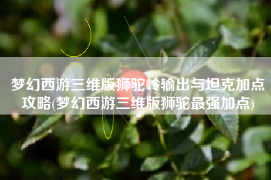 梦幻西游三维版狮驼岭输出与坦克加点攻略(梦幻西游三维版狮驼最强加点)