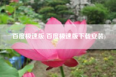 百度极速版(百度极速版下载安装)