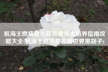 航海王燃烧意志新世界赤犬培养指南攻略大全(航海王燃烧意志新世界黑胡子)