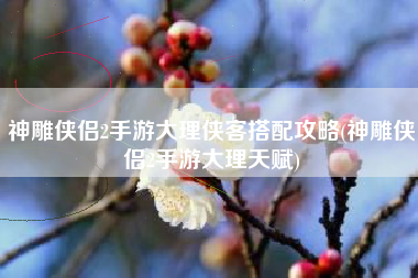 神雕侠侣2手游大理侠客搭配攻略(神雕侠侣2手游大理天赋)