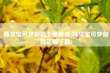 精灵宝可梦剑盾卡璞蝶蝶(精灵宝可梦剑盾正版下载)