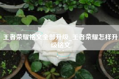 王者荣耀铭文全部升级_王者荣耀怎样升级铭文