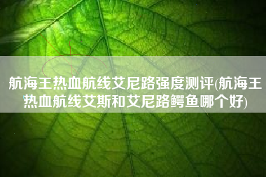 航海王热血航线艾尼路强度测评(航海王热血航线艾斯和艾尼路鳄鱼哪个好)