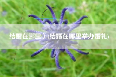 结婚在哪里）(结婚在哪里举办婚礼)