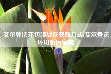 艾尔登法环切腹战灰获取方式(艾尔登法环切腹厉害嘛)