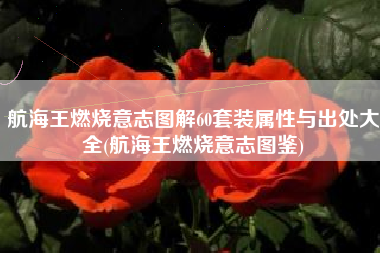 航海王燃烧意志图解60套装属性与出处大全(航海王燃烧意志图鉴)