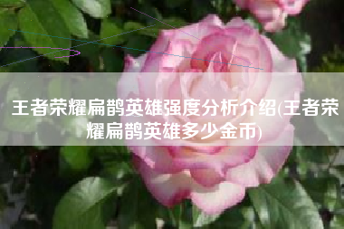 王者荣耀扁鹊英雄强度分析介绍(王者荣耀扁鹊英雄多少金币)