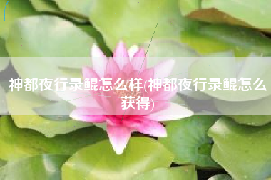 神都夜行录鲲怎么样(神都夜行录鲲怎么获得)