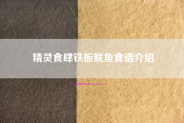 精灵食肆铁板鱿鱼食谱介绍