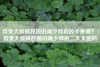 百变大侦探民国旧闻少帅府凶手是谁？ (百变大侦探民国旧闻少帅府二太太密码)