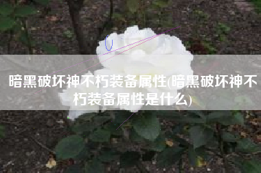 暗黑破坏神不朽装备属性(暗黑破坏神不朽装备属性是什么)