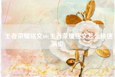 王者荣耀铭文60(王者荣耀铭文怎么快速满级)