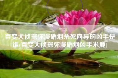 百变大侦探弥漫硝烟杀死向导的凶手是谁(百变大侦探弥漫硝烟凶手米鹿)