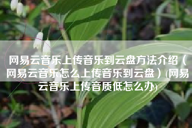 网易云音乐上传音乐到云盘方法介绍（网易云音乐怎么上传音乐到云盘）(网易云音乐上传音质低怎么办)