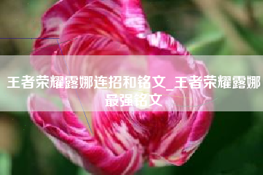 王者荣耀露娜连招和铭文_王者荣耀露娜最强铭文
