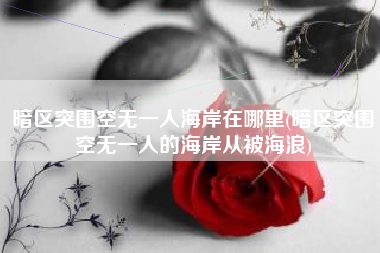 暗区突围空无一人海岸在哪里(暗区突围空无一人的海岸从被海浪)
