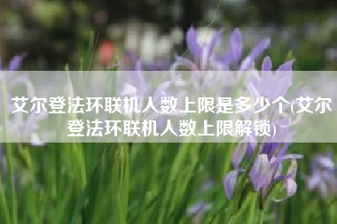 艾尔登法环联机人数上限是多少个(艾尔登法环联机人数上限解锁)