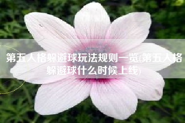 第五人格躲避球玩法规则一览(第五人格躲避球什么时候上线)