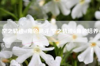 空之轨迹ol角色测评(空之轨迹fc角色培养)
