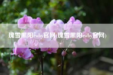 瑰雪黑阳rwby官网(瑰雪黑阳rwby官网)
