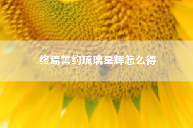 终焉誓约琉璃星辉怎么得