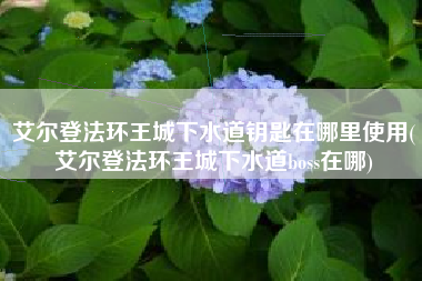 艾尔登法环王城下水道钥匙在哪里使用(艾尔登法环王城下水道boss在哪)