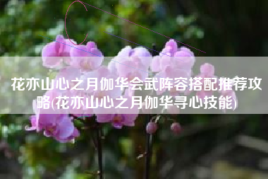 花亦山心之月伽华会武阵容搭配推荐攻略(花亦山心之月伽华寻心技能)