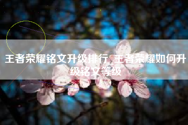 王者荣耀铭文升级排行_王者荣耀如何升级铭文等级