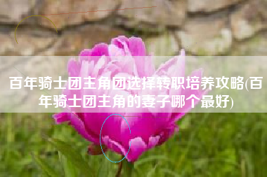 百年骑士团主角团选择转职培养攻略(百年骑士团主角的妻子哪个最好)