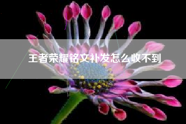 王者荣耀铭文补发怎么收不到