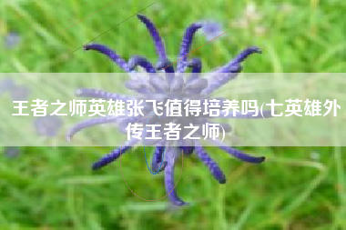 王者之师英雄张飞值得培养吗(七英雄外传王者之师)